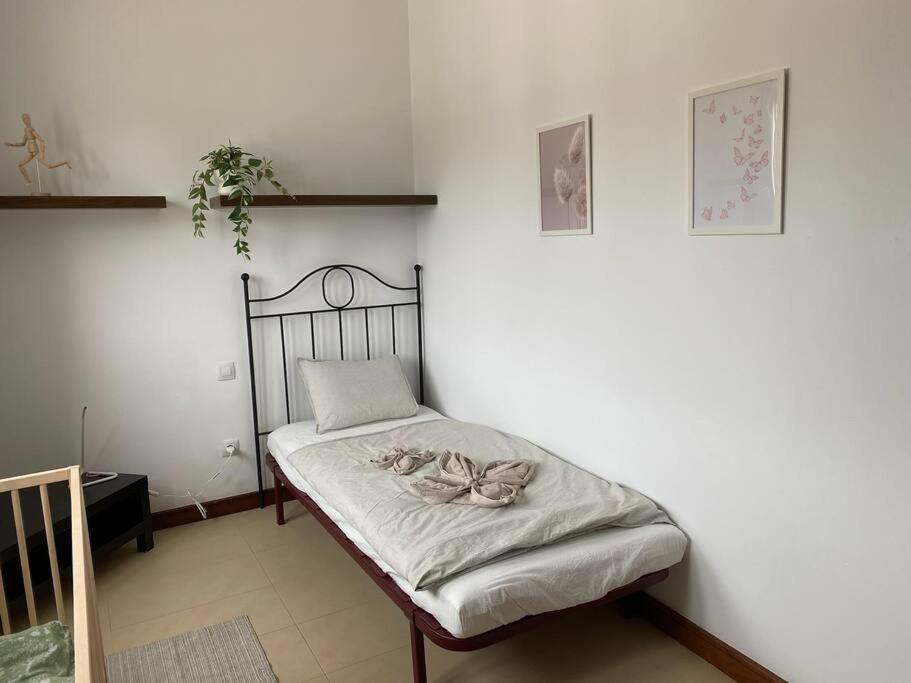 Casa Marla Mit 3 Schlafzimmern Und 2 Badezimmern بْوُرتو كاليرو المظهر الخارجي الصورة